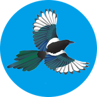MagpieCoin