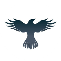 Raven Protocol