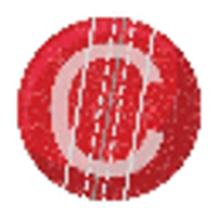 Cricket Foundation