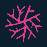 Synapse