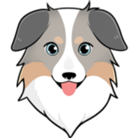 Australian Safe Shepherd