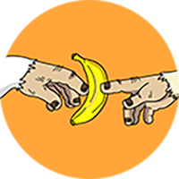 Apes Go Bananas