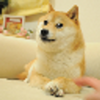 Dogeswap Token (HECO)