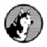 Husky AVAX