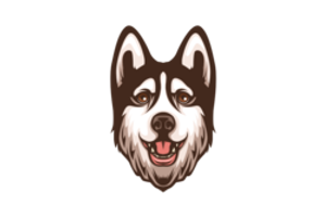 Sakhalin Husky