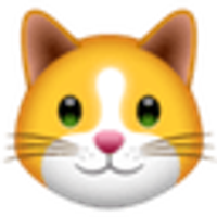 KittenFinance