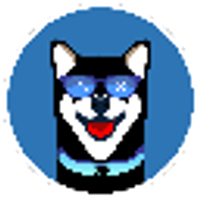 XRdoge