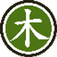 Wood Coin