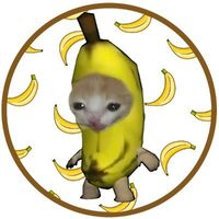 BitClave