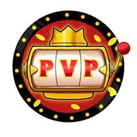 PlayerVsPlayerCoin