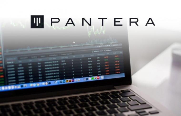 Прибыль Pantera Capital за пять лет работы составила более 10000%