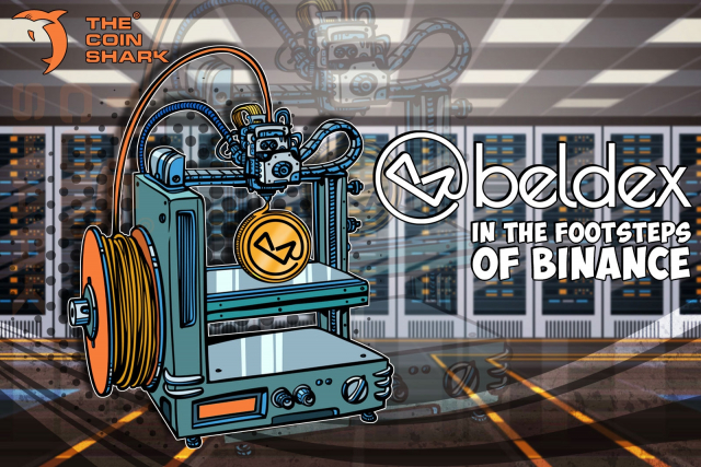 По стопам Binance: краткий обзор Beldex Coin 