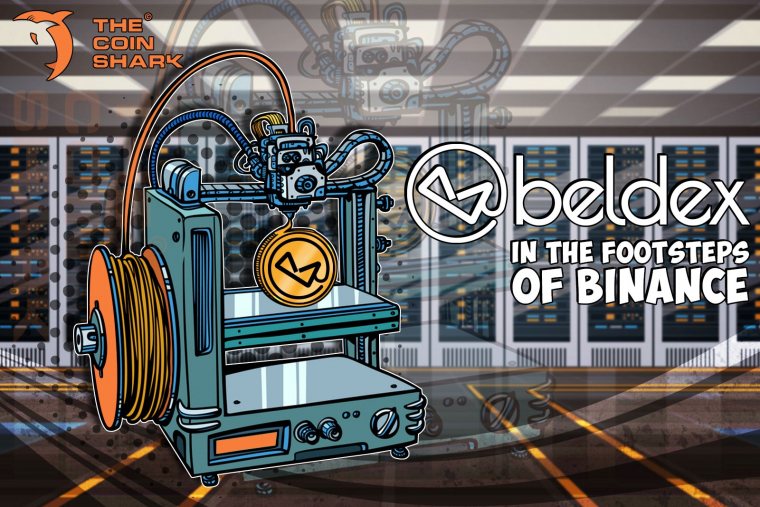 По стопам Binance: краткий обзор Beldex Coin 