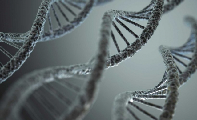 South Korean Biotech Firm to Use Blockchain for Genomic Big Data Ecosystem