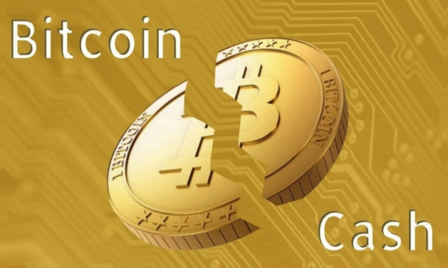 Разработчики Bitcoin ABC рассказали о критической уязвимости в сети Bitcoin Cash