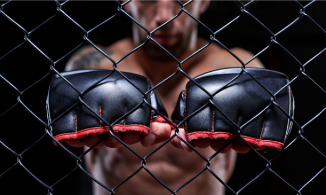 From Octagon to Blockchain: The Surge of Cryptocurrency in UFC Betting