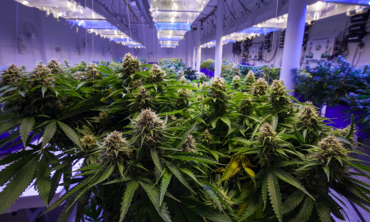 High Times Quietly Removes Crypto Payment Option From IPO Website