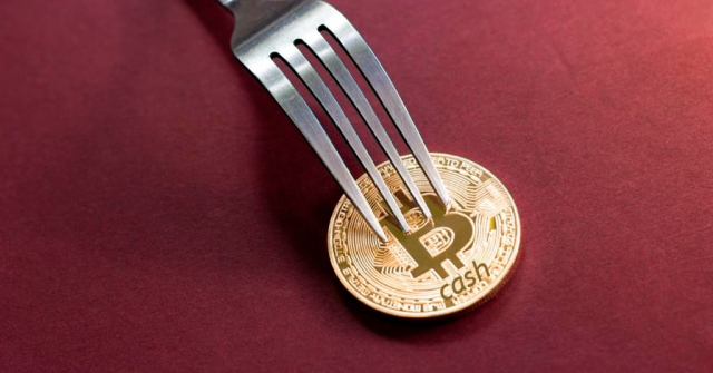 Bitcoin Cash проведет хард форк, в результате которого размер блока увеличится до 32 Мб